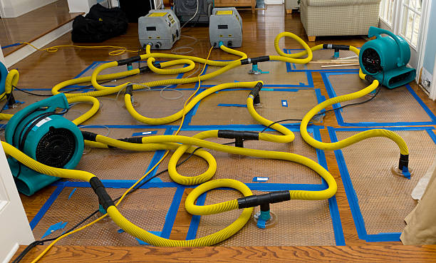 Professional Water Damage Restoration technician working in Spring Valley, IL